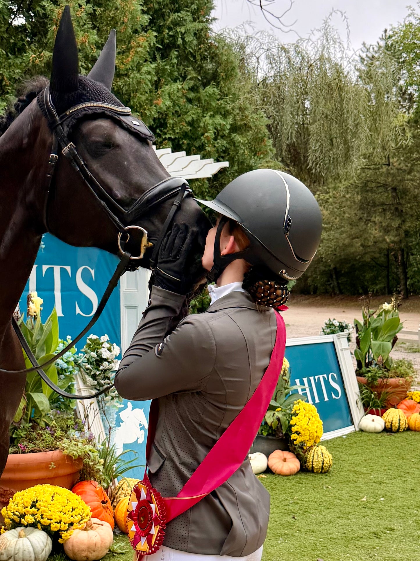Dressage bun cover with clips